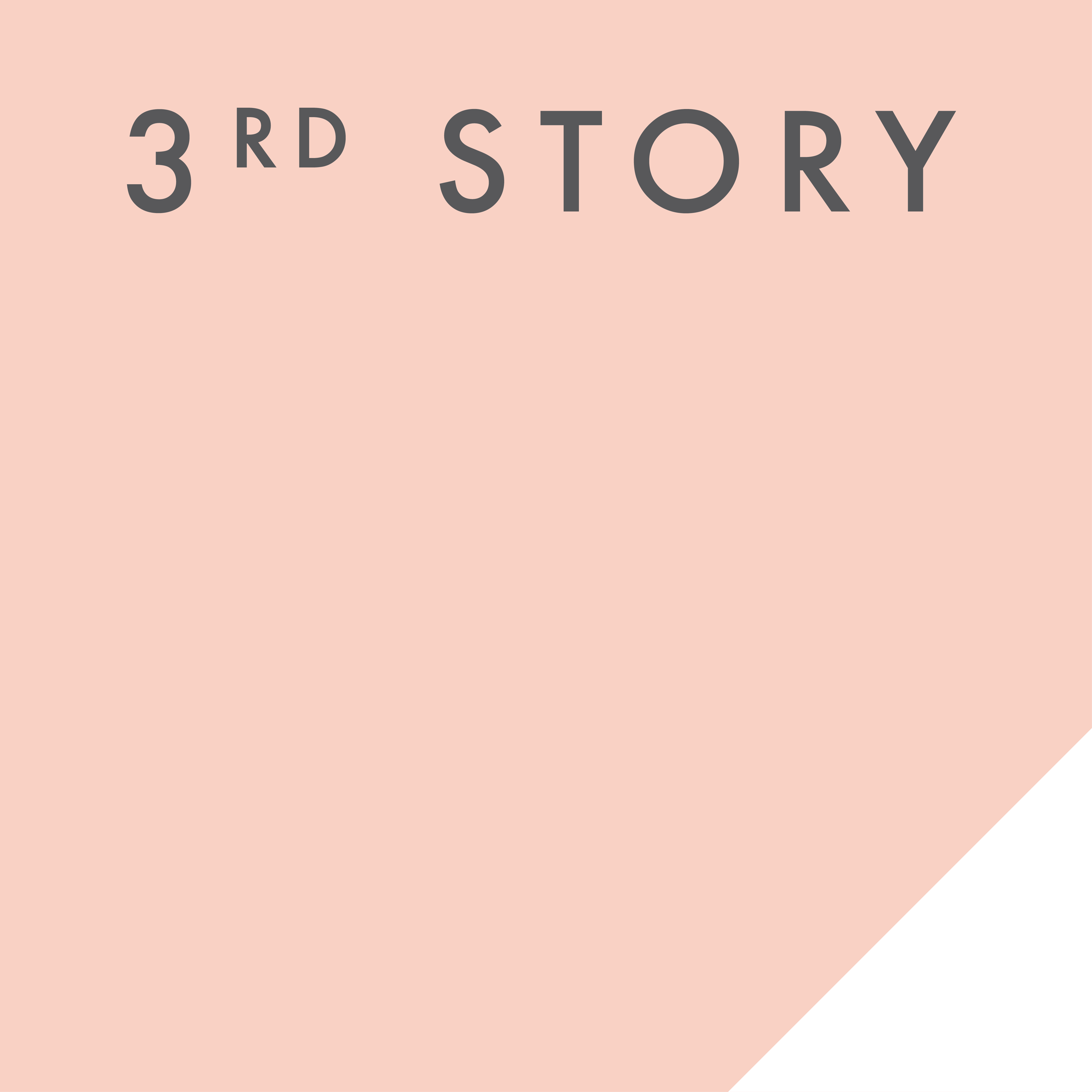 3rd Story Workshop Logo